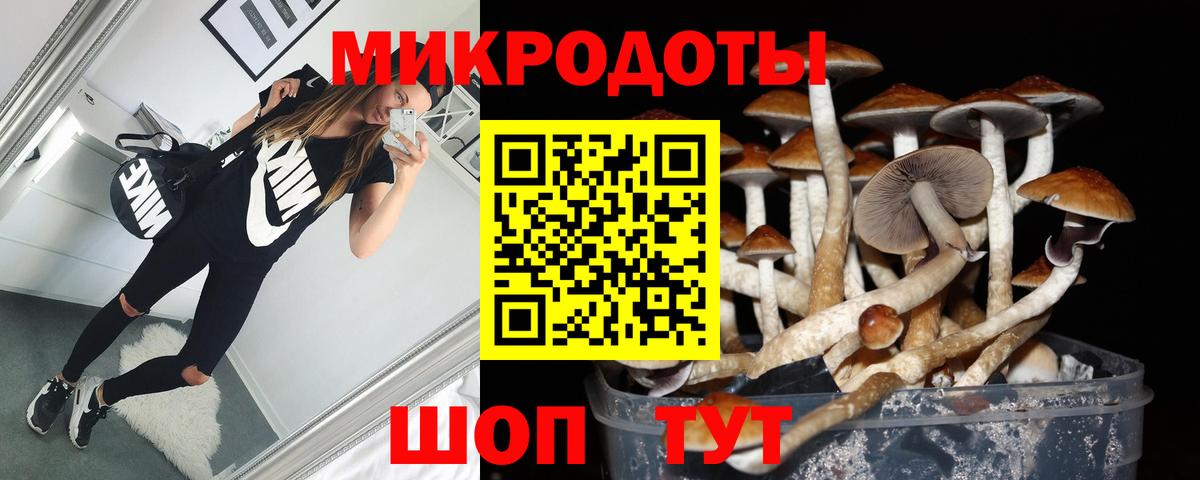 Галлюциногенные грибы Psilocybine cubensis  Вход с VPN  Галлюциногенные грибы Cubensis  Бугуруслан 